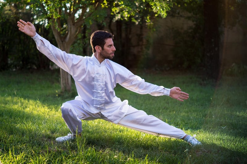 Tai Chi - Wu Style